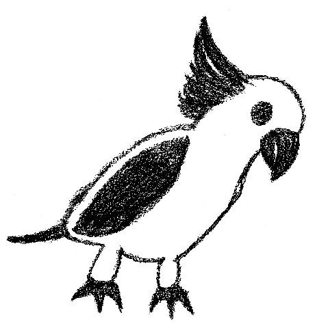 outlines of birds. Bird Drawings
